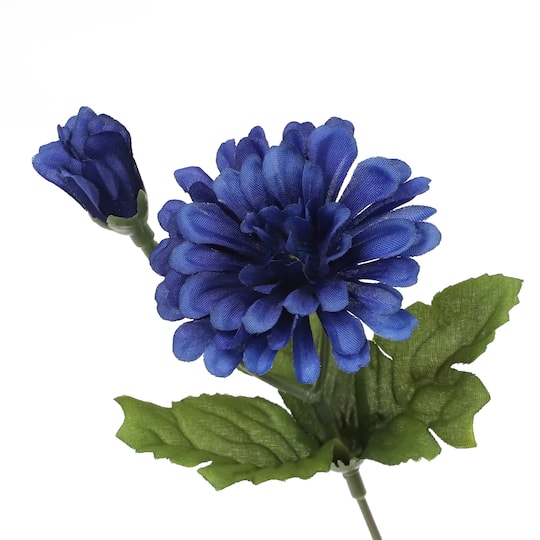 14" Blue Zinnia Bush from Ashland®